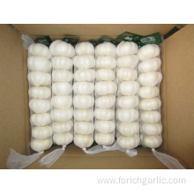 Pure White Garlic In Small Mesh Bag